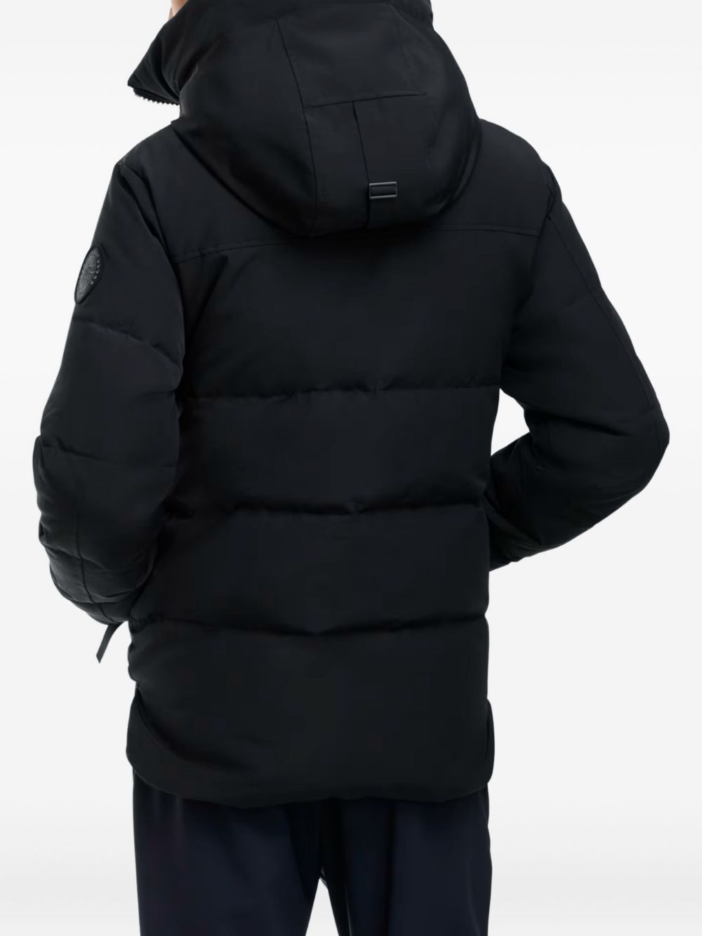 hooded jacket