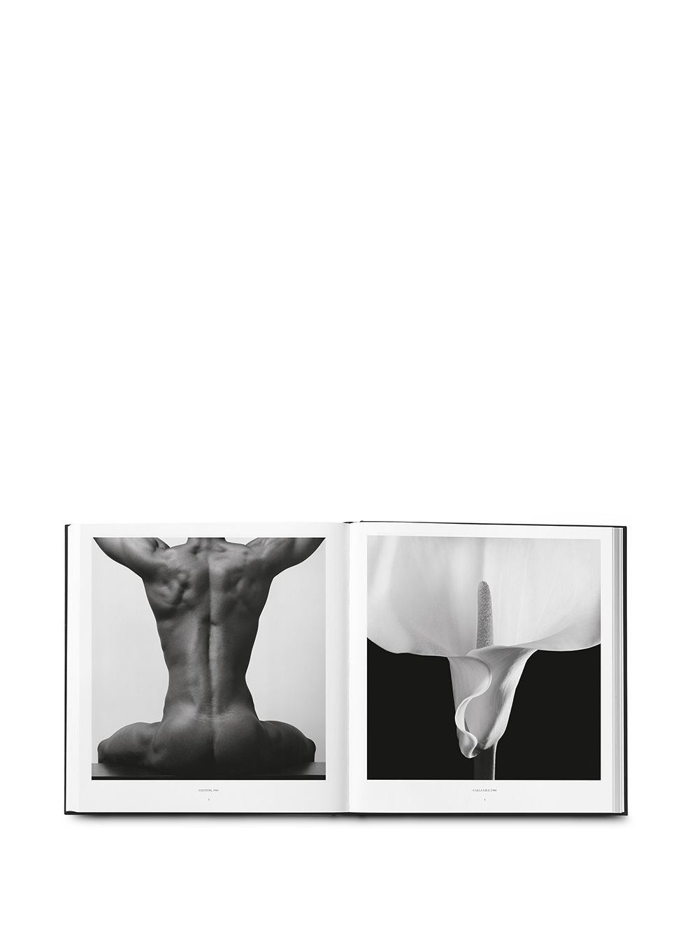 Robert Mapplethorpe