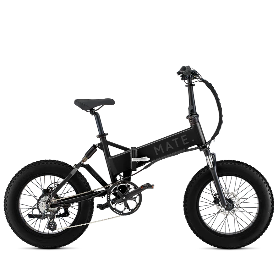 Mate X 250W Subdued Black Bike