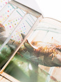 Lifestyle Coffee Table Book