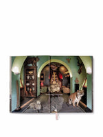 Cabinet Of Curiosities Book