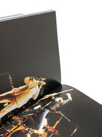 Bruce Springsteen: From Asbury Park, To Born To Run, To Born In The Usa Hardcover Book