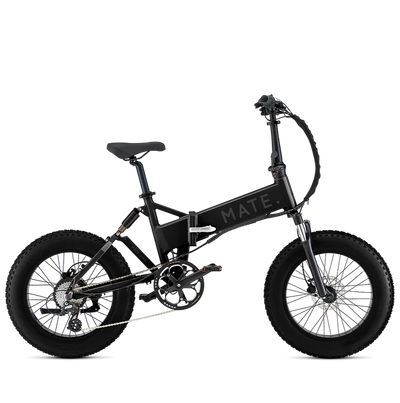 Mate X 250W Subdued Black Bike